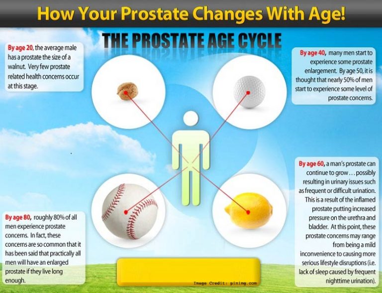 prostate-gland-s-function-and-why-is-it-important-to-you